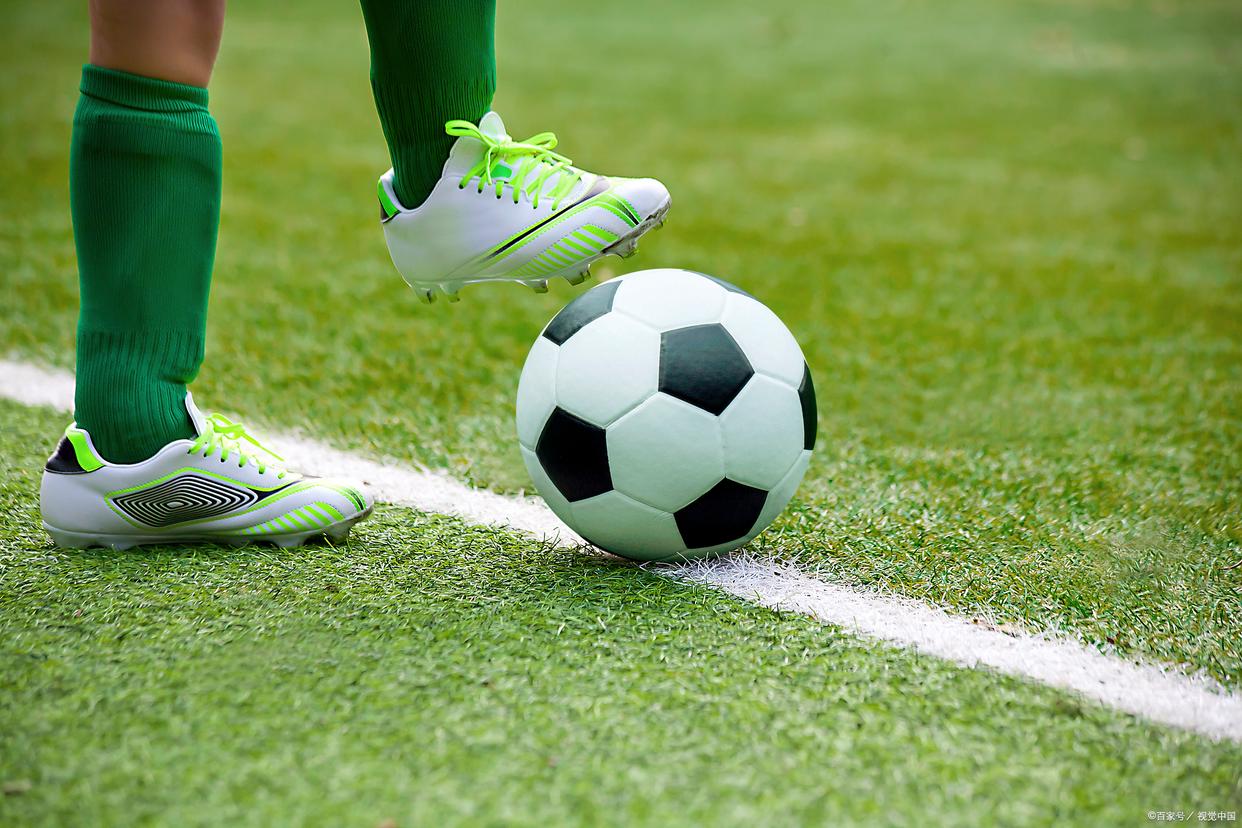 政府应建立 政府应建立